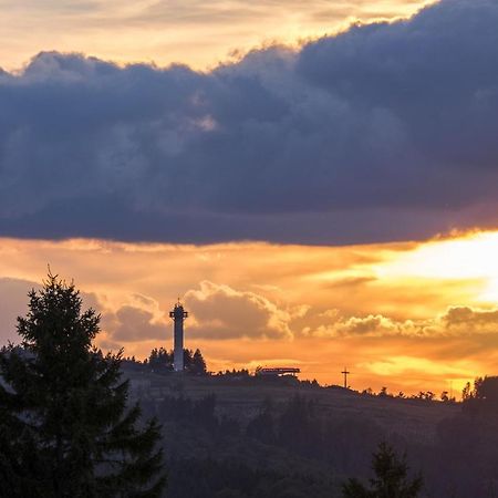 Fewo Poenblick Willingen  Zewnętrze zdjęcie