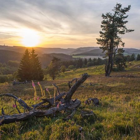 Fewo Poenblick Willingen  Zewnętrze zdjęcie