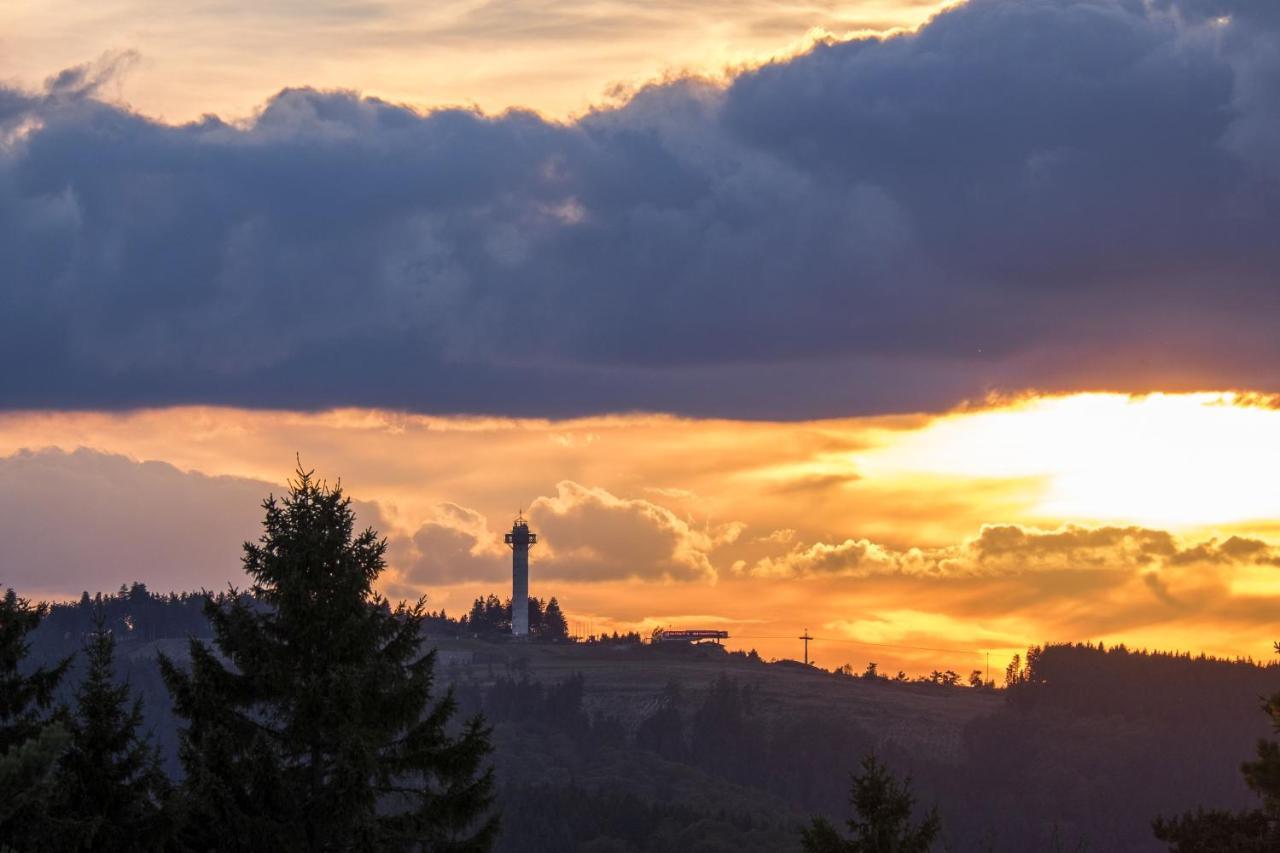 Fewo Poenblick Willingen  Zewnętrze zdjęcie