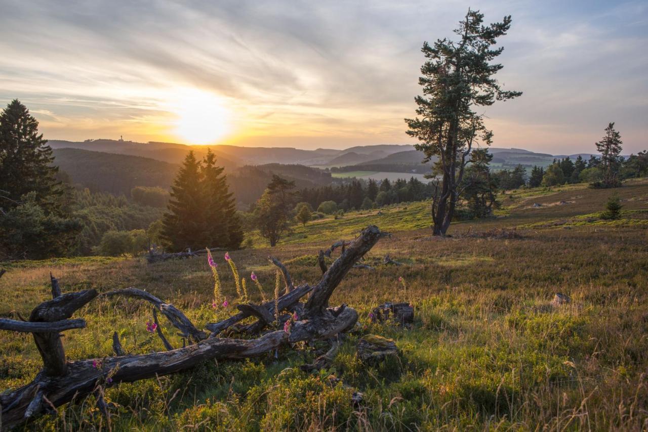Fewo Poenblick Willingen  Zewnętrze zdjęcie